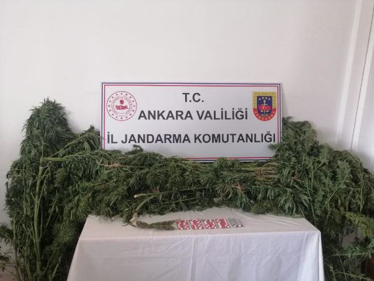 Ankara\'da Hobi Bahçelerinde Uyuşturucu Operasyonu