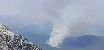 Antalya'da orman yangını