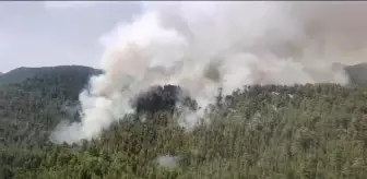Antalya'da Orman Yangınına Havadan ve Karadan Müdahale Ediliyor