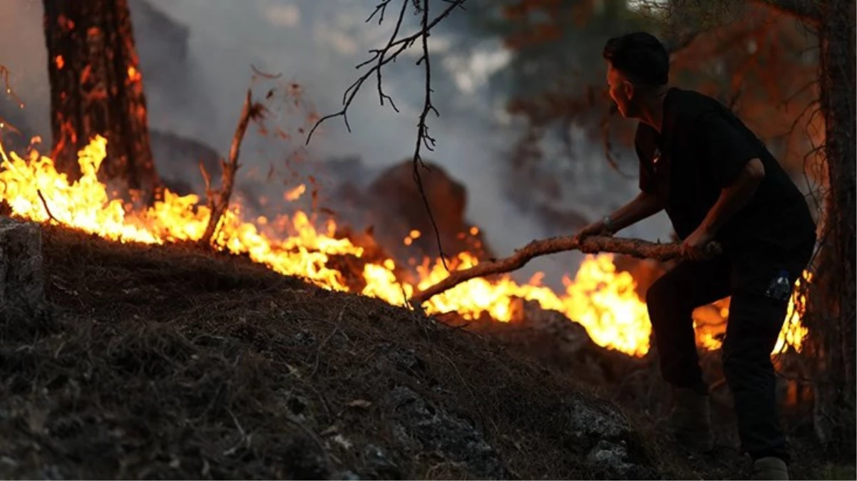 Antalya, Eskişehir, Bolu, Bayburt ve Bingöl\'de peş peşe orman yangını! Alevlere müdahale devam ediyor
