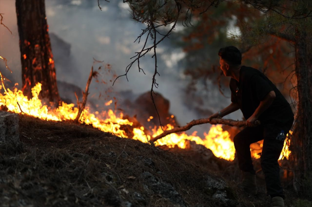 Antalya, Eskişehir, Bolu ve Bingöl'de peş peşe orman yangını! Alevlere müdahale devam ediyor