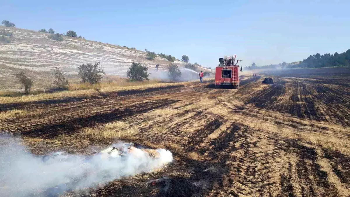 Kastamonu\'da çıkan yangınlar kontrol altına alındı