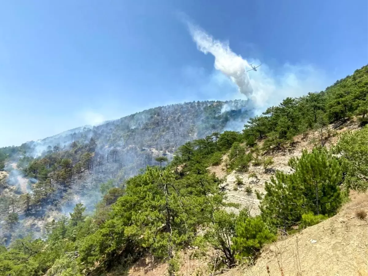 Bolu Göynük\'te Orman Yangını: Havadan ve Karadan Müdahale Devam Ediyor
