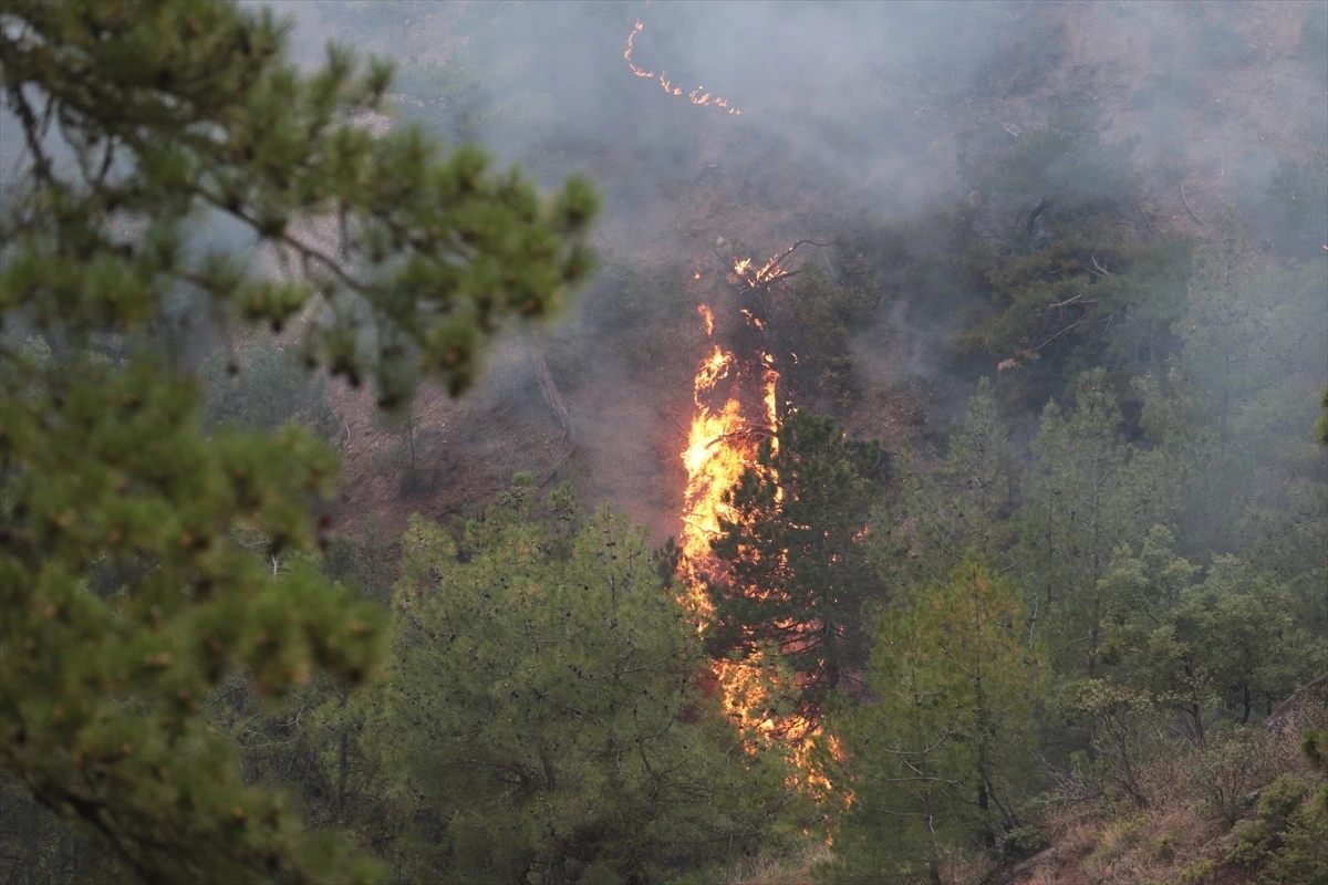 Bolu Göynük\'te orman yangınına havadan müdahaleye ara verildi