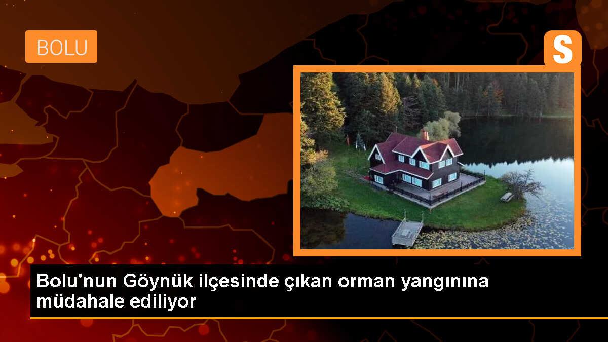 Bolu Göynük\'te Orman Yangını