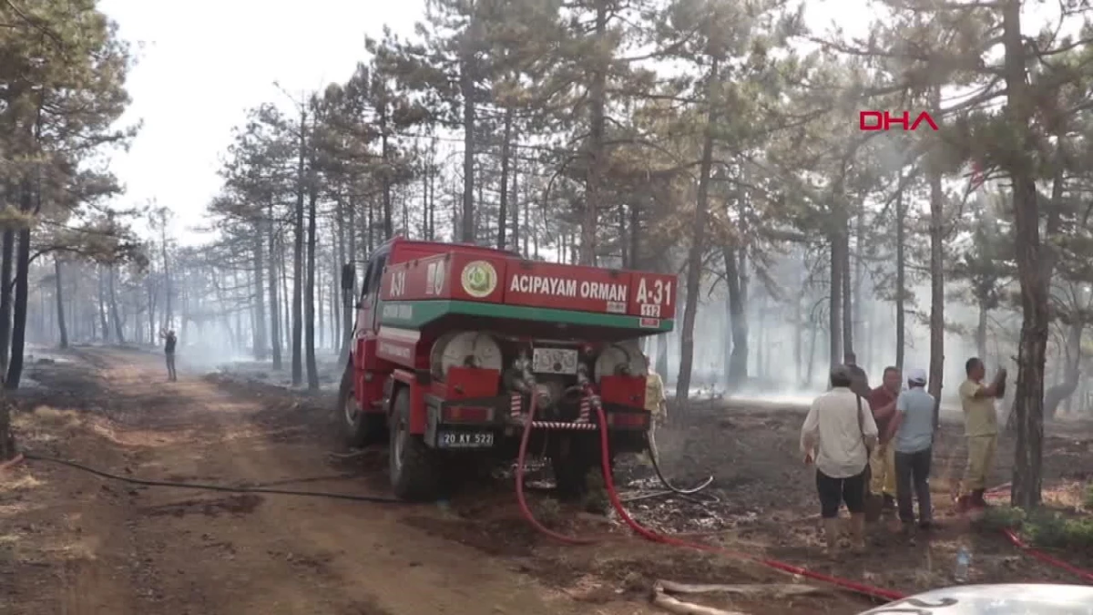 Denizli\'de orman yangını kontrol altına alındı