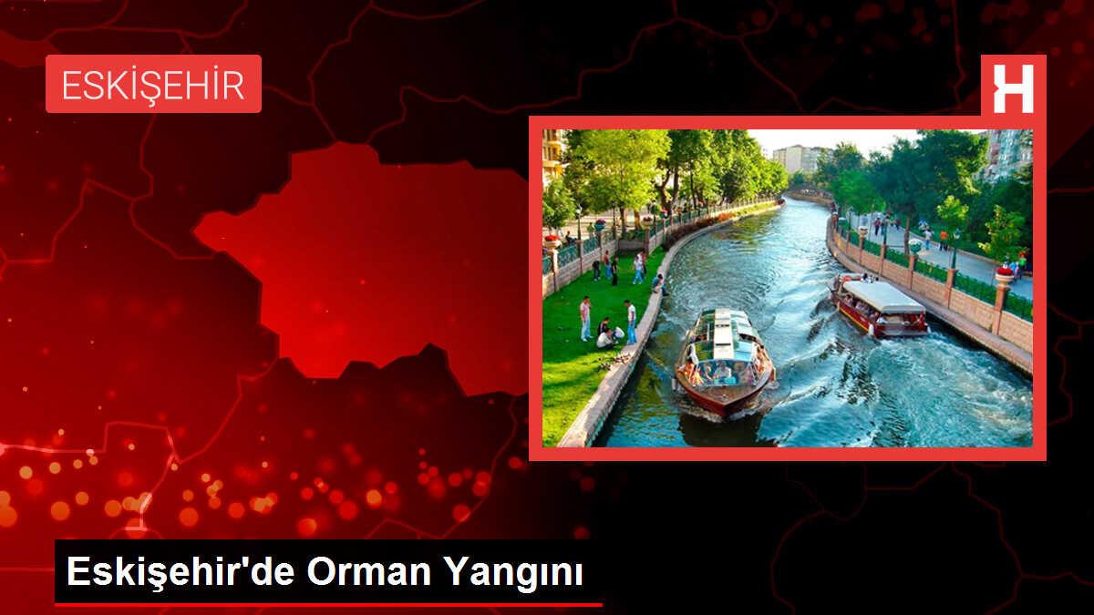 Eskişehir Alpu'da Ormanda Yangın Çıktı