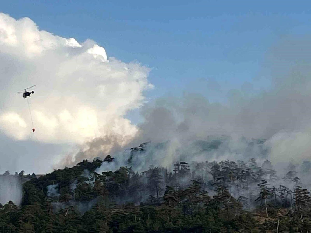 Eskişehir\'de 7 Saattir Devam Eden Orman Yangınına Havadan ve Karadan Müdahale