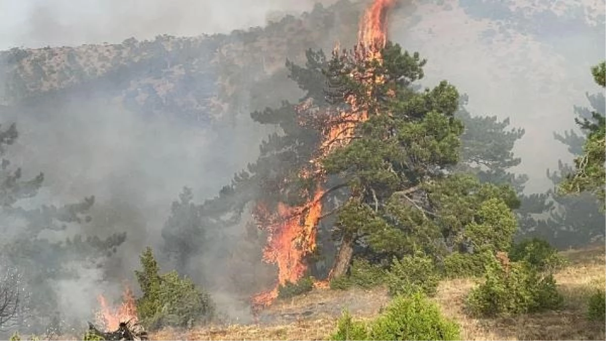 Eskişehir\'deki Orman Yangını Söndürme Çalışmaları Devam Ediyor