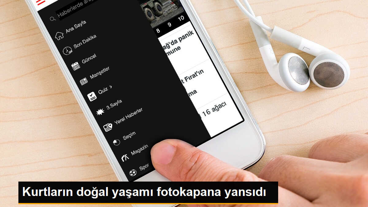 Türkiye\'deki Kurtlar Fotokapanlara Yakalandı