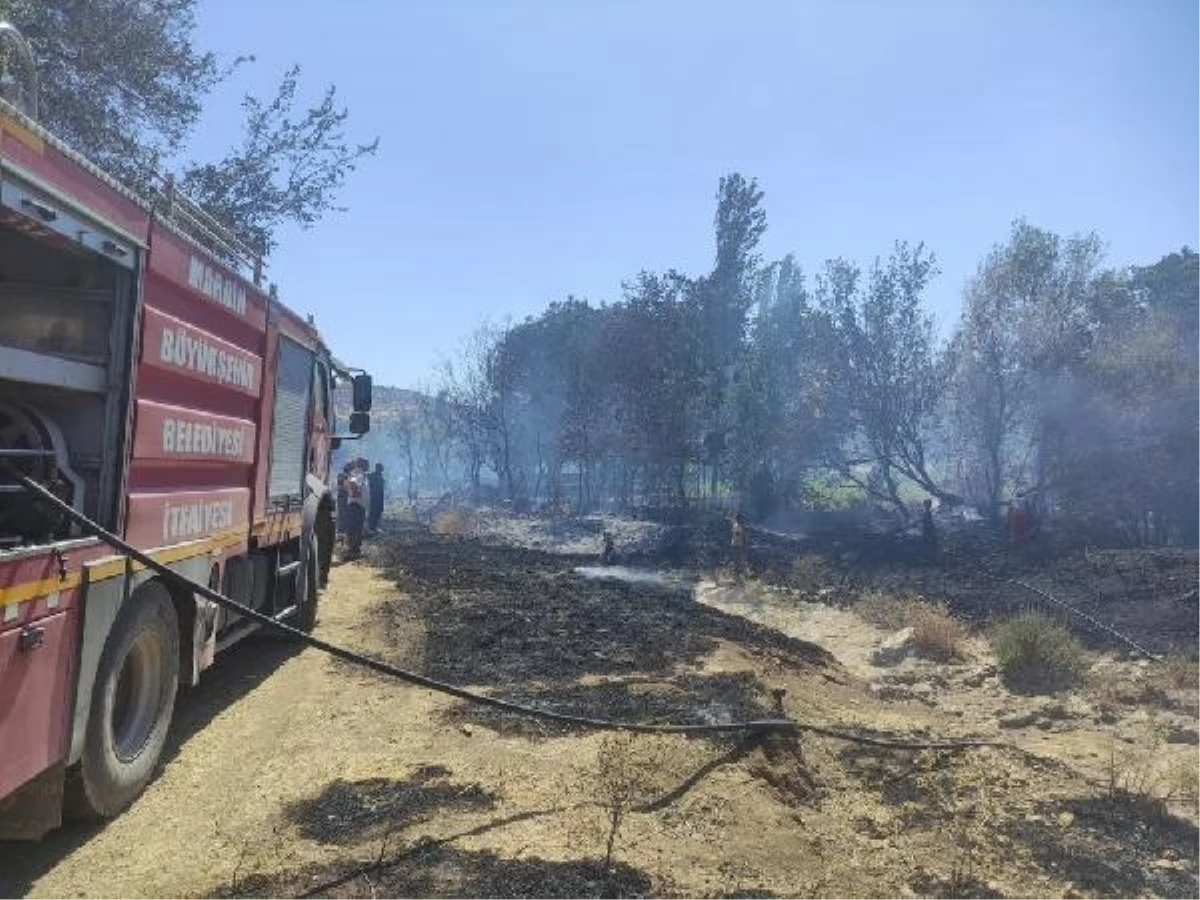 Mardin\'de çıkan orman yangınıyla ilgili 1 şüpheli gözaltına alındı