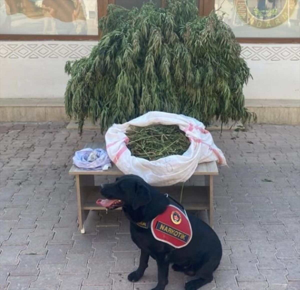 Mardin\'de Uyuşturucu Operasyonu: 4,5 Kilo Esrar Ele Geçirildi