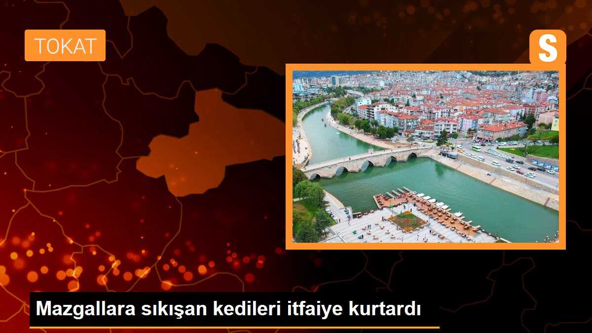 Mazgallara sıkışan kedileri itfaiye kurtardı