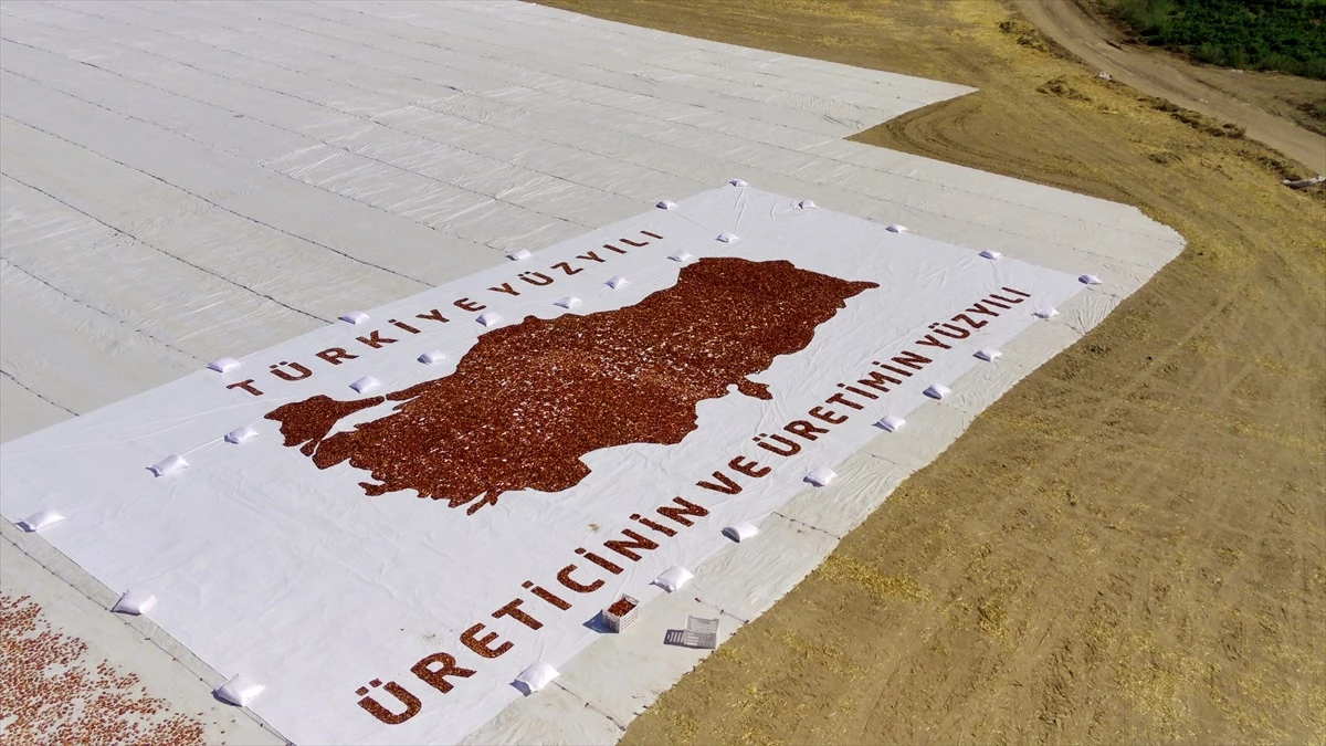 Elazığ\'da mevsimlik tarım işçileri dev Türkiye haritası yaptı