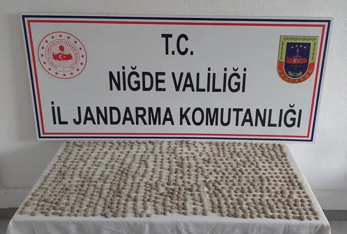 Niğde\'de tarihi eser operasyonunda 4 şüpheli yakalandı