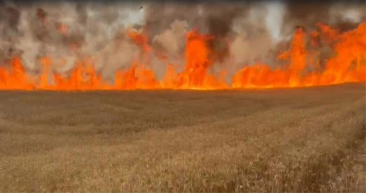 Sivas\'ta Çıkan Yangınlar Büyük Zarara Yol Açtı