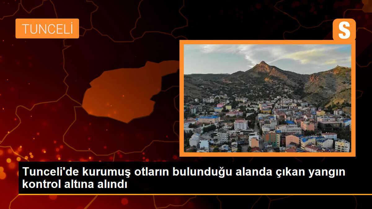 Tunceli\'de kurumuş otların bulunduğu alanda çıkan yangın kontrol altına alındı