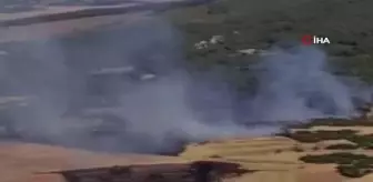 Yangında 14 hektar alanı zarar gördü