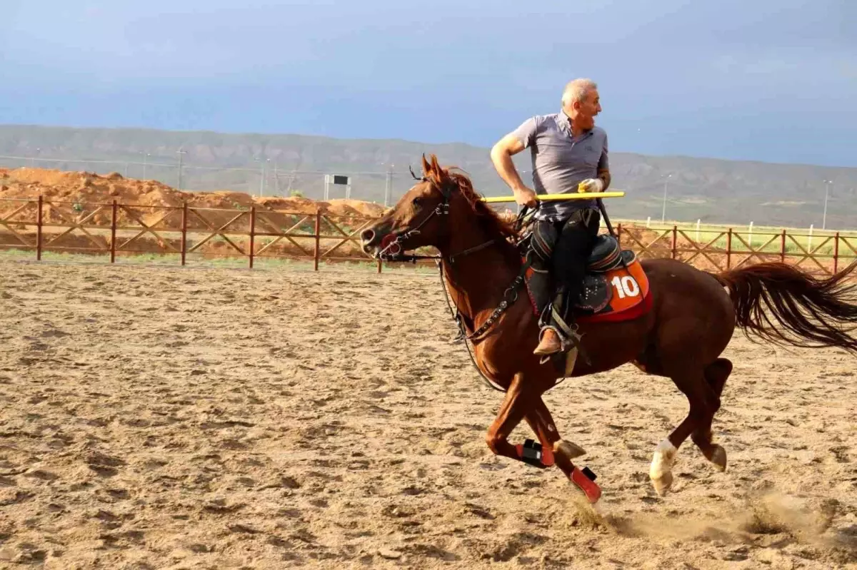 Malatya Yazıhan Atlı Cirit ve Binicilik Spor Kulübü, Sivas\'ta yapılacak müsabakalara katılacak