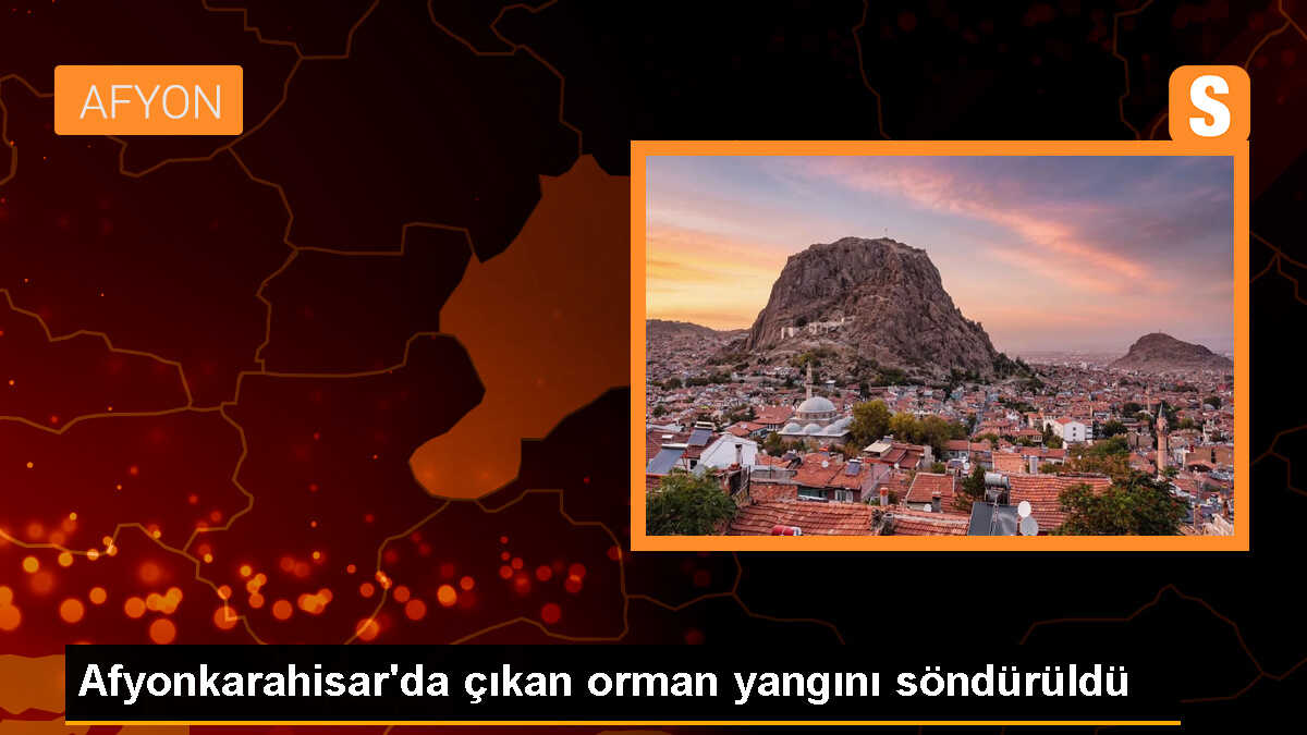 Afyonkarahisar\'da çıkan orman yangını söndürüldü