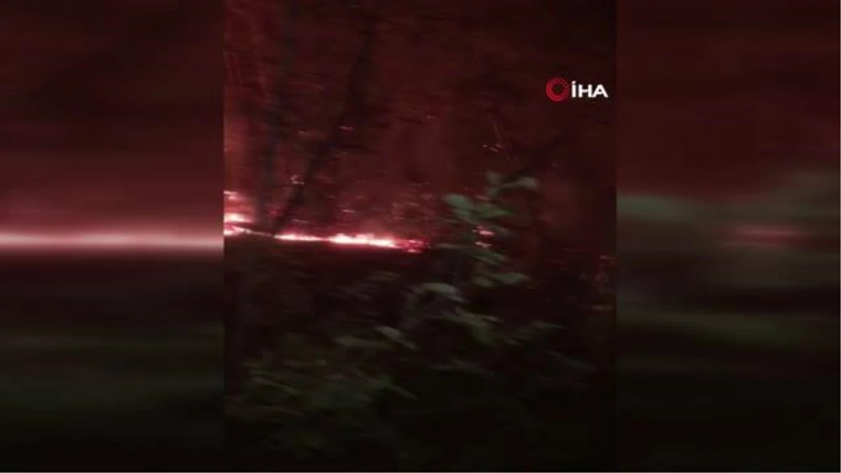 Antalya\'da çıkan orman yangınına müdahale ediliyor