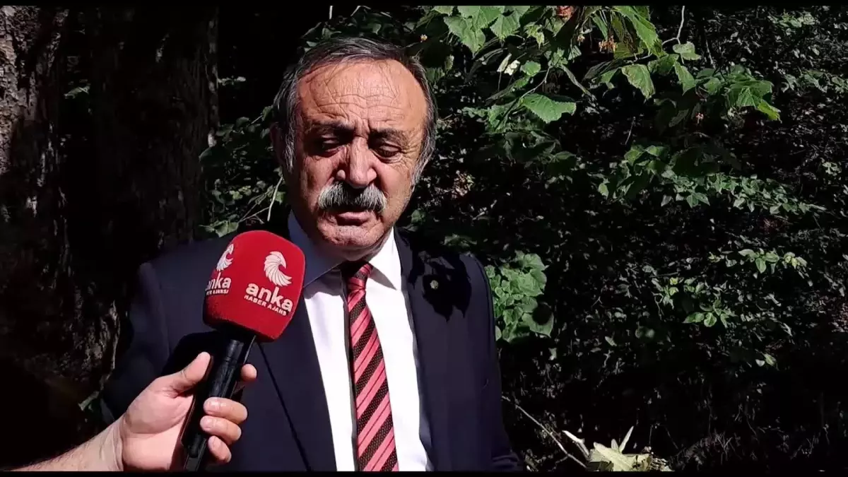 Artvin\'de, Şavşat Belediyesi\'nin Tarımsal Kalkınma Kooperatifi, Doğadan Toplanan Bitkileri İşliyor, Şavşat Ekonomisine Katkı Sunuyor