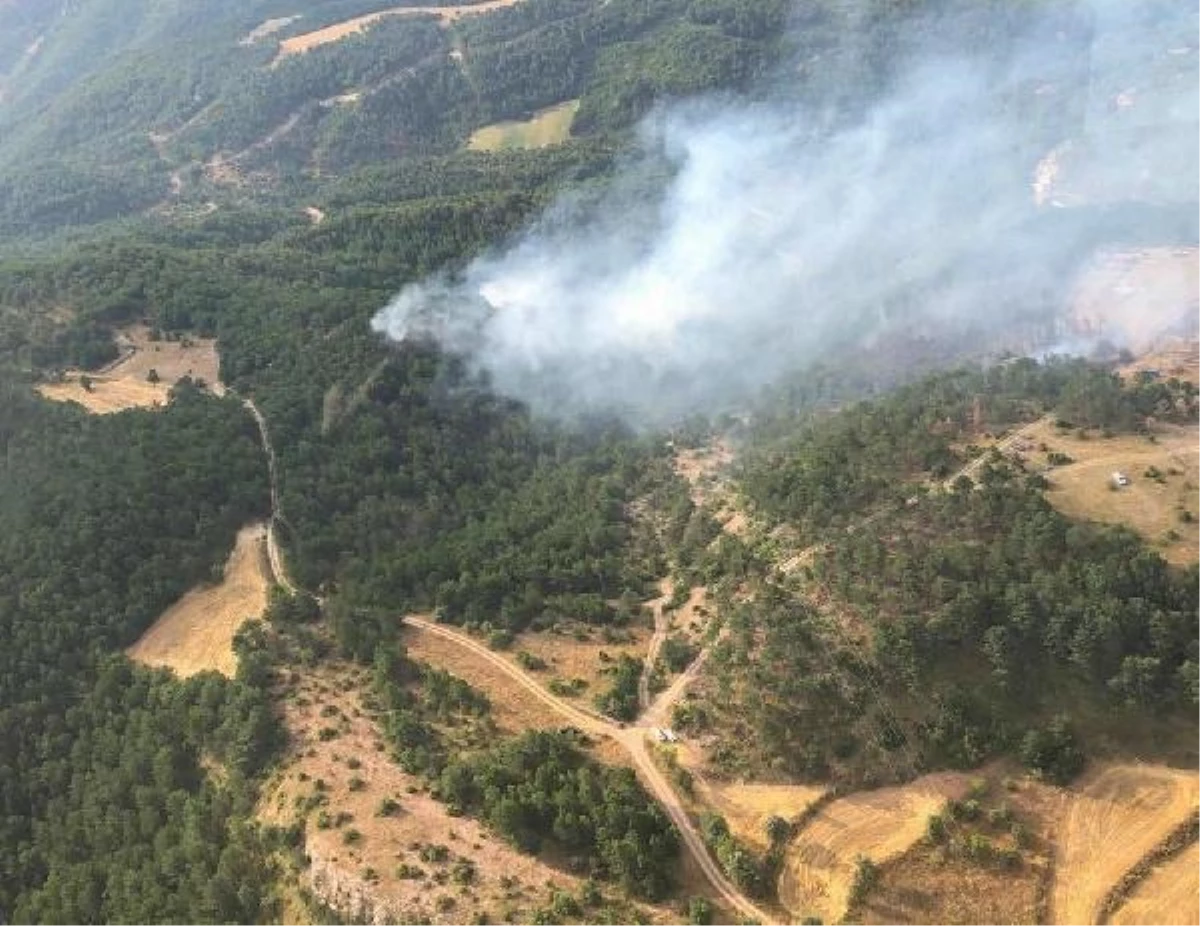 Bolu\'da Orman Yangınlarına Müdahale Devam Ediyor