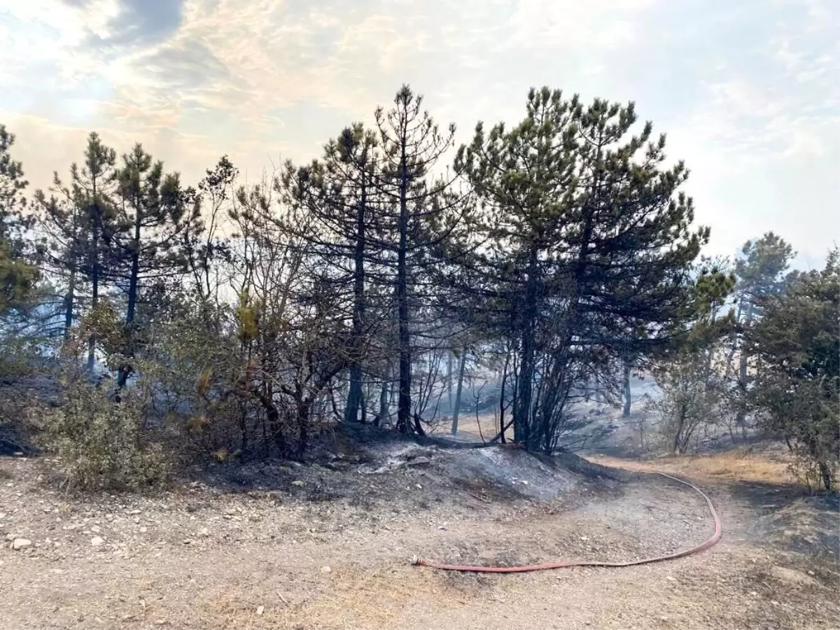 Bolu\'da iki ayrı bölgede orman yangını çıktı