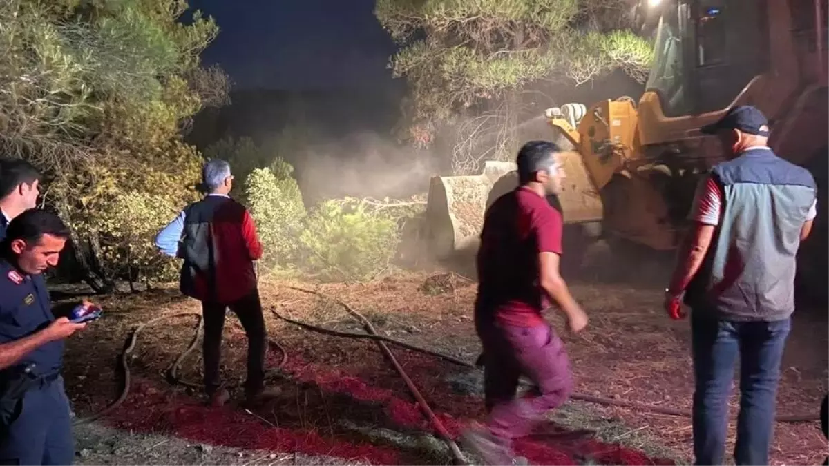 Göynük\'te çıkan orman yangını kontrol altına alındı