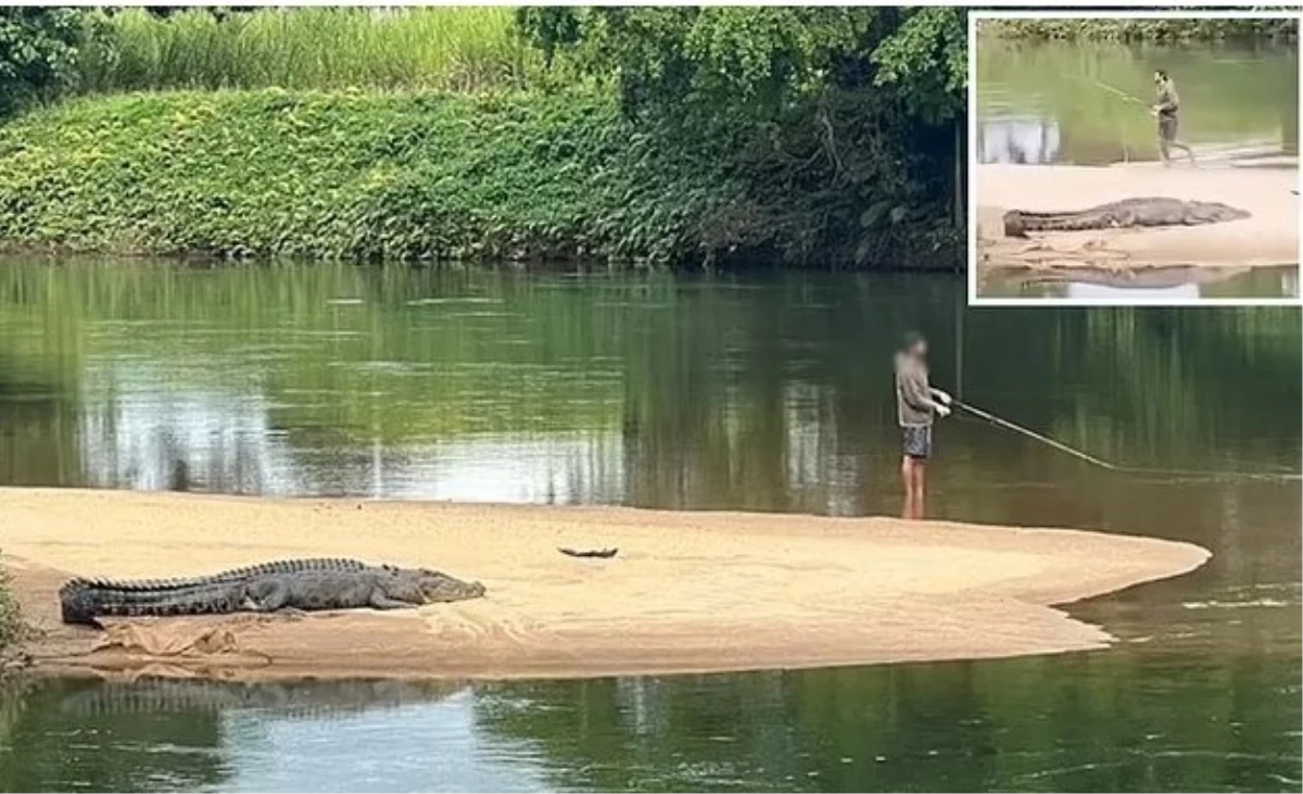 Dev timsaha aldırmadan balık tutmaya devam eden Avustralyalı adam tepki gördü