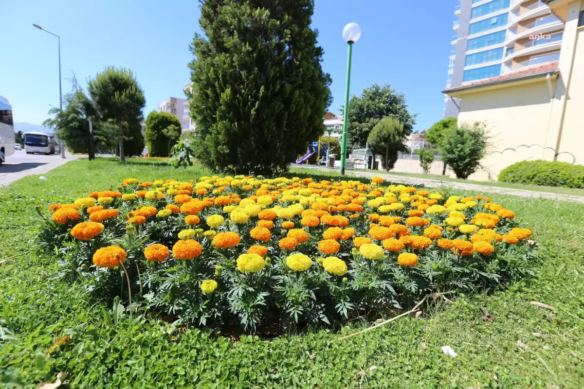 Efeler Belediyesi, Kentin Çehresini Değiştiriyor