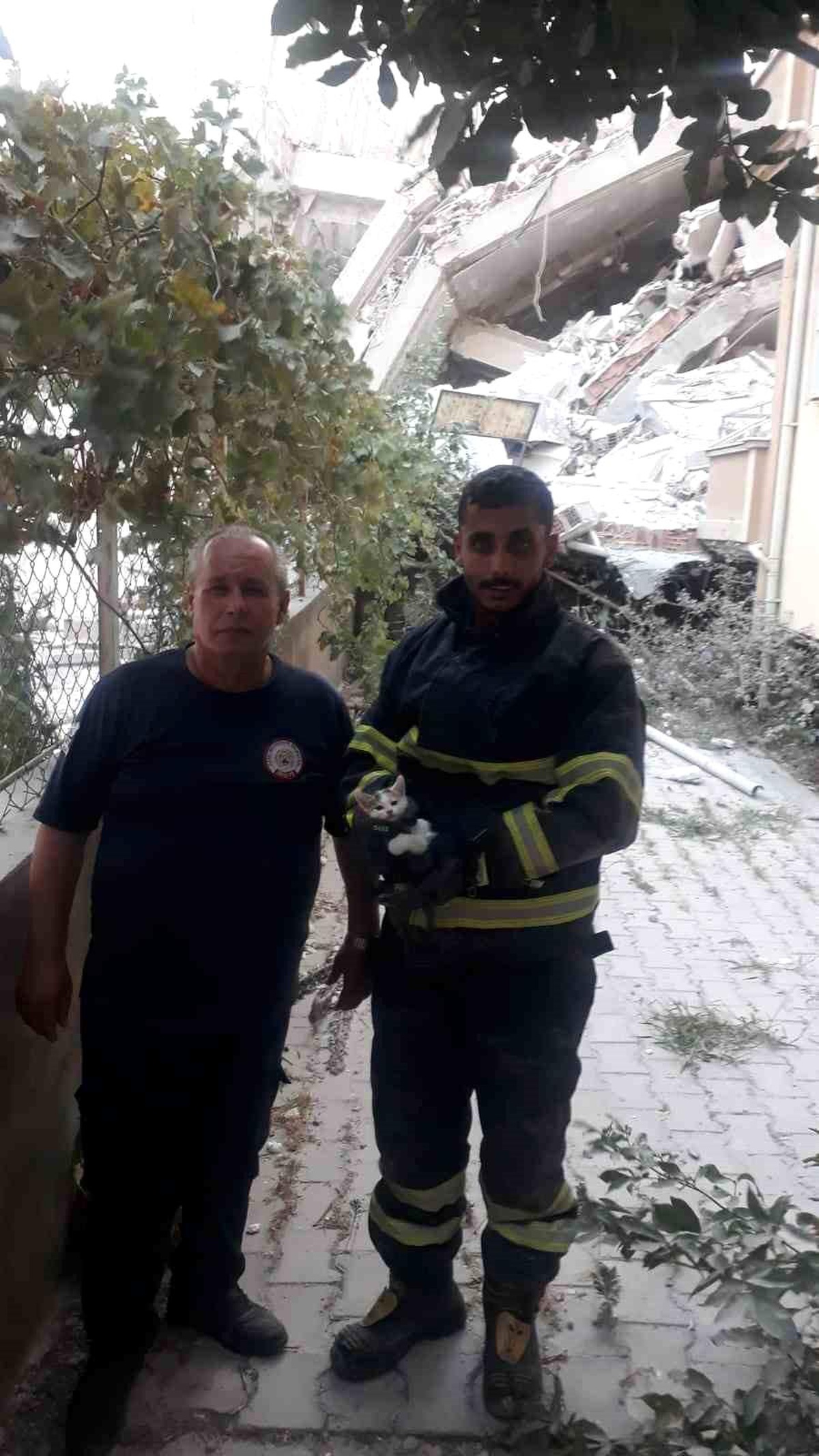 Antakya\'da enkaz altında mahsur kalan yavru kedi kurtarıldı