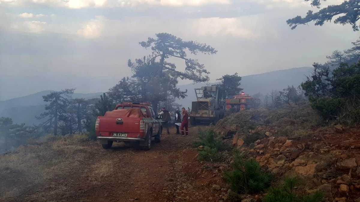 Eskişehir\'deki Orman Yangını Kontrol Altına Alındı