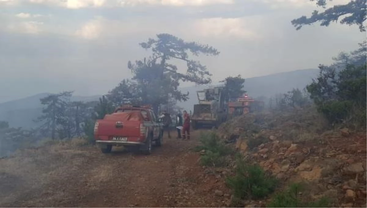 Eskişehir Alpu\'da çıkan orman yangını kontrol altına alındı