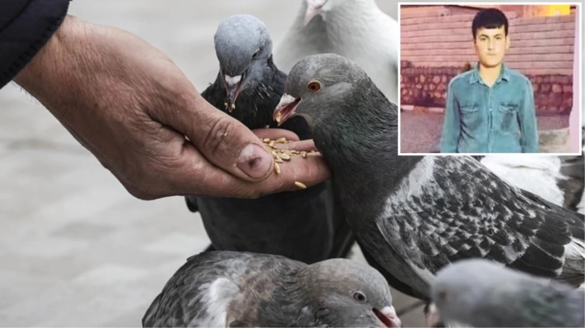 Güvercin kavgasında kafasına parke taşıyla vurulan genç yaşamını yitirdi
