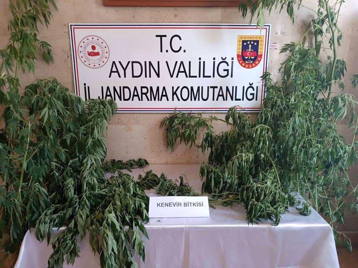 Aydın\'da Uyuşturucu Operasyonu: 51 Şüpheli Yakalandı