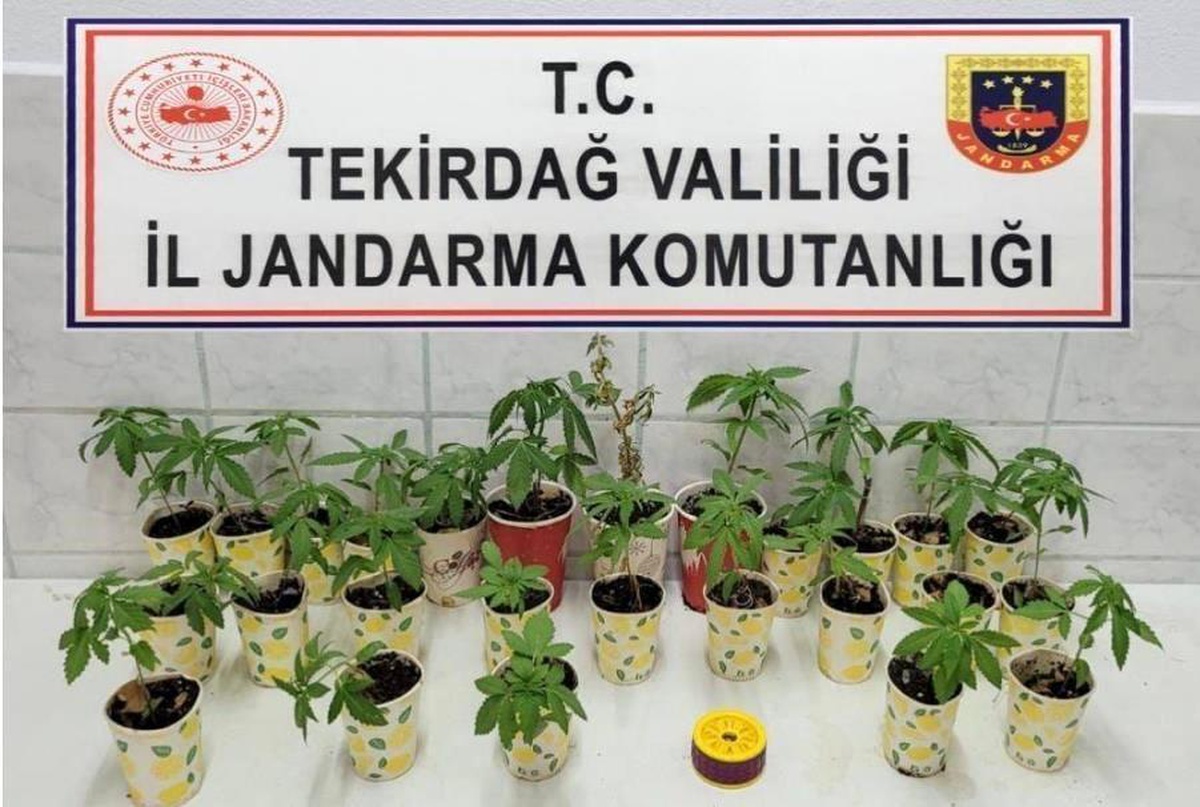 Tekirdağ\'da Uyuşturucu Operasyonunda 5 Kişi Gözaltına Alındı