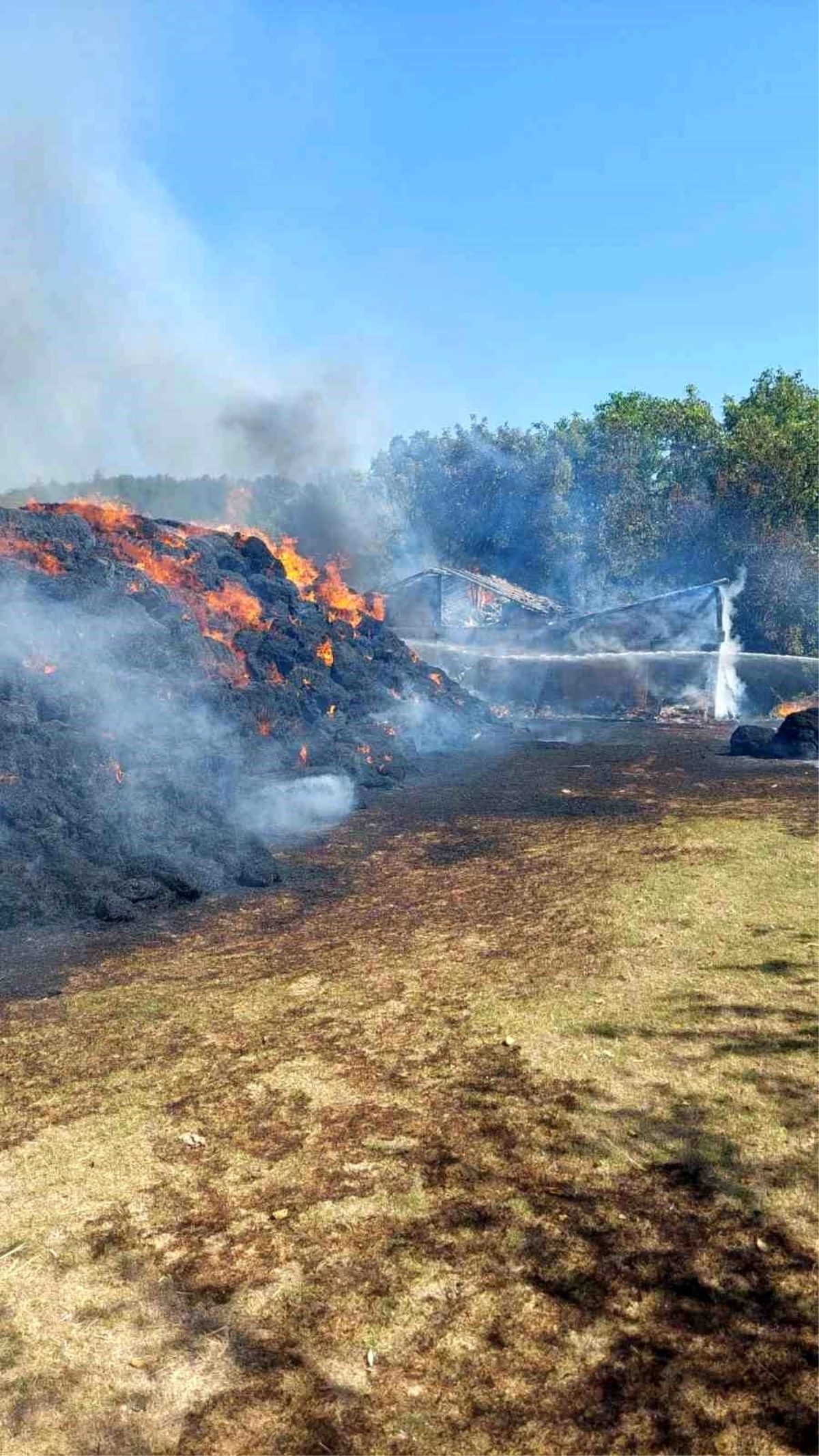 Kastamonu\'da Samanlık Yangını: 6 Bin Balya Saman ve Bir Patos Aracı Kül Oldu
