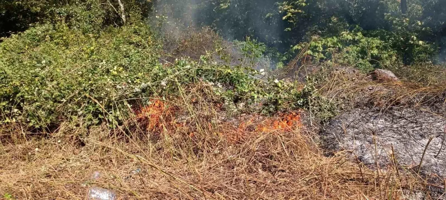 Karabük\'ün Yenice ilçesinde orman yangını büyümeden söndürüldü