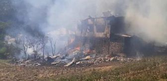 Adana'da çıkan yangın 2 eve ve ormana sıçradı