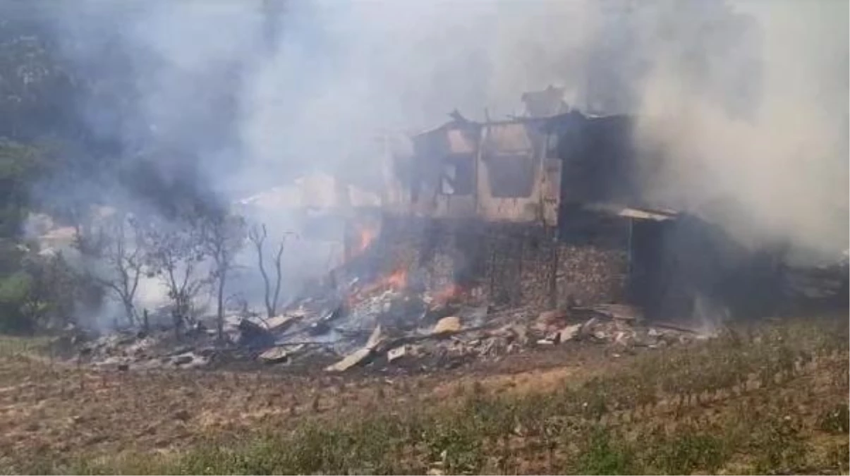 Adana\'da çıkan yangın 2 eve ve ormana sıçradı