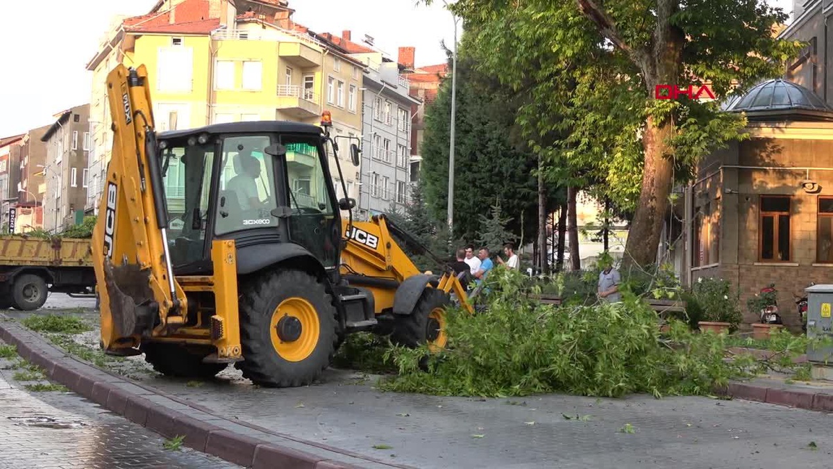 Tavşanlı\'da Kavak Ağacının Dalı Otomobilin Üzerine Devrildi
