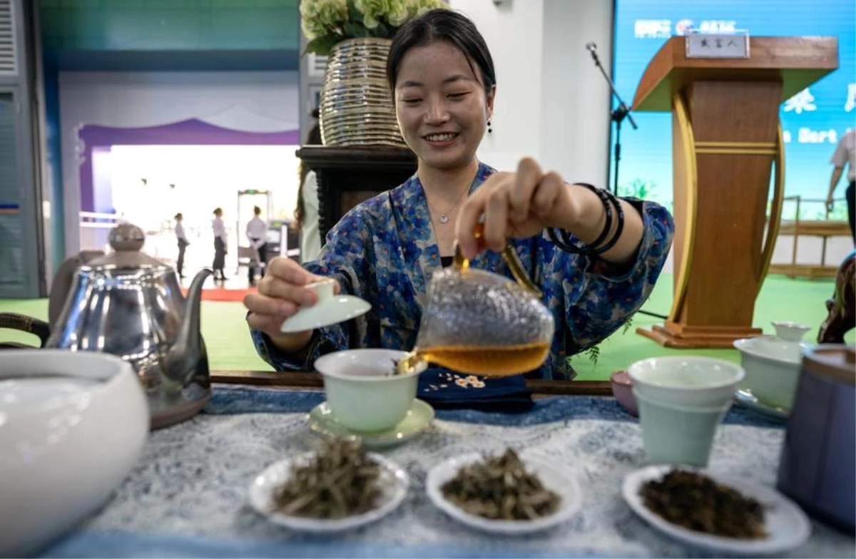 Güney Asya Çay Festivali Kunming\'de Başladı
