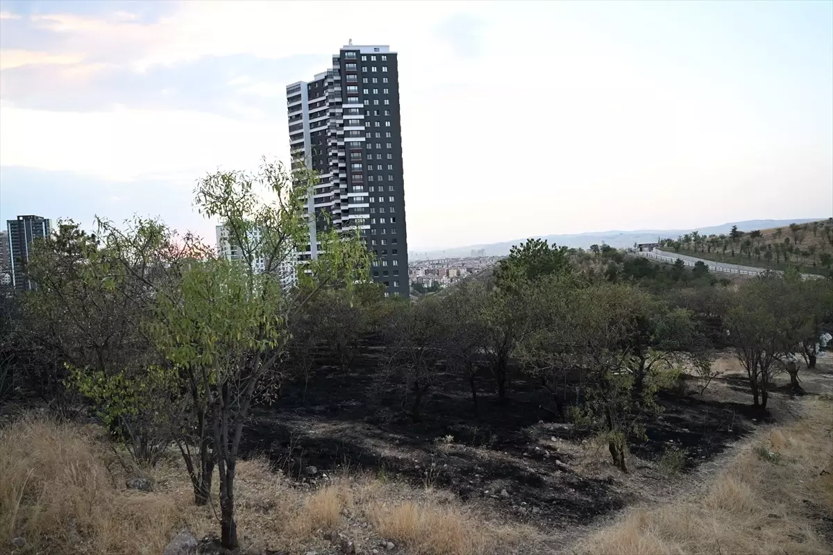 Ankara'da Çankaya ilçesinde çıkan yangın söndürüldü