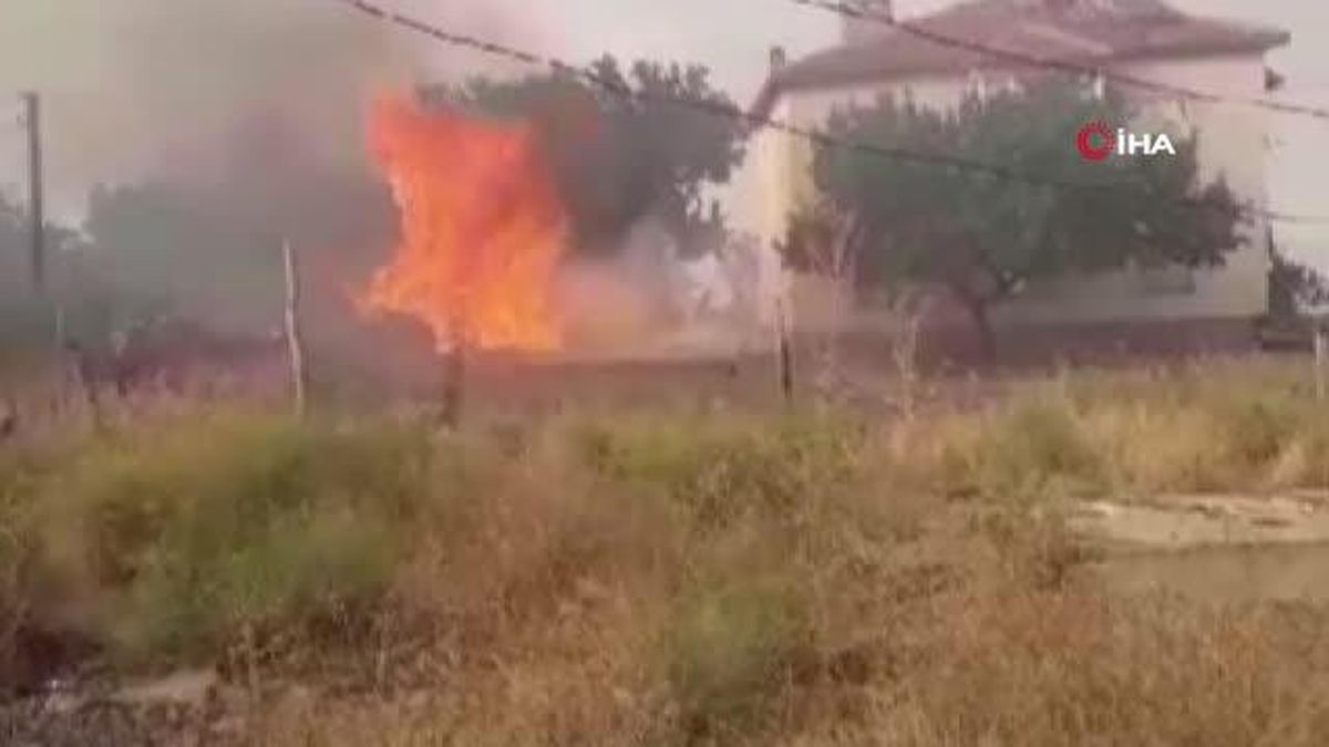 Ankara\'da kırsal alanda korkutan yangın