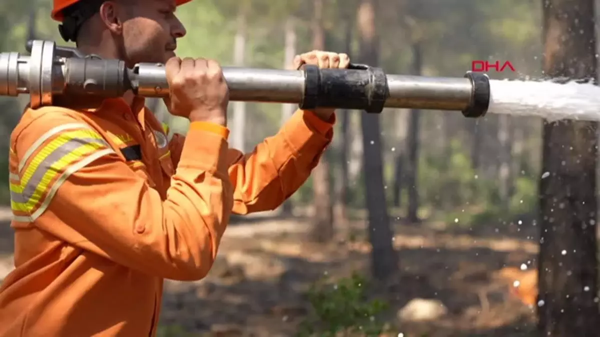 Orman Yangınlarıyla Mücadelede Gönüllü Uygulamasına 118 Bin Üye