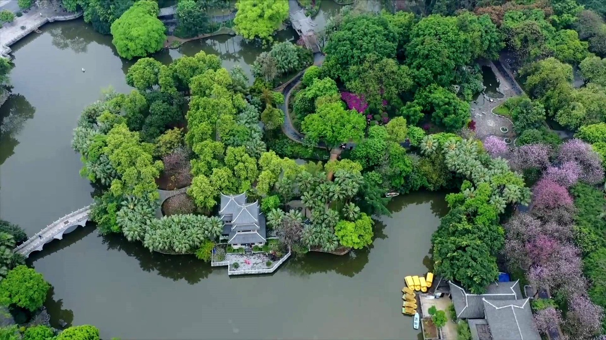 Çin\'deki Liuzhou kentinde asırlık ağaçlar turizm endüstrisini canlandırıyor