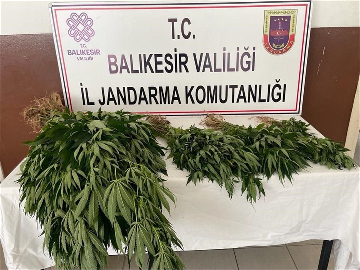 Balıkesir\'de Uyuşturucu Operasyonu: 5 Şüpheli Gözaltına Alındı
