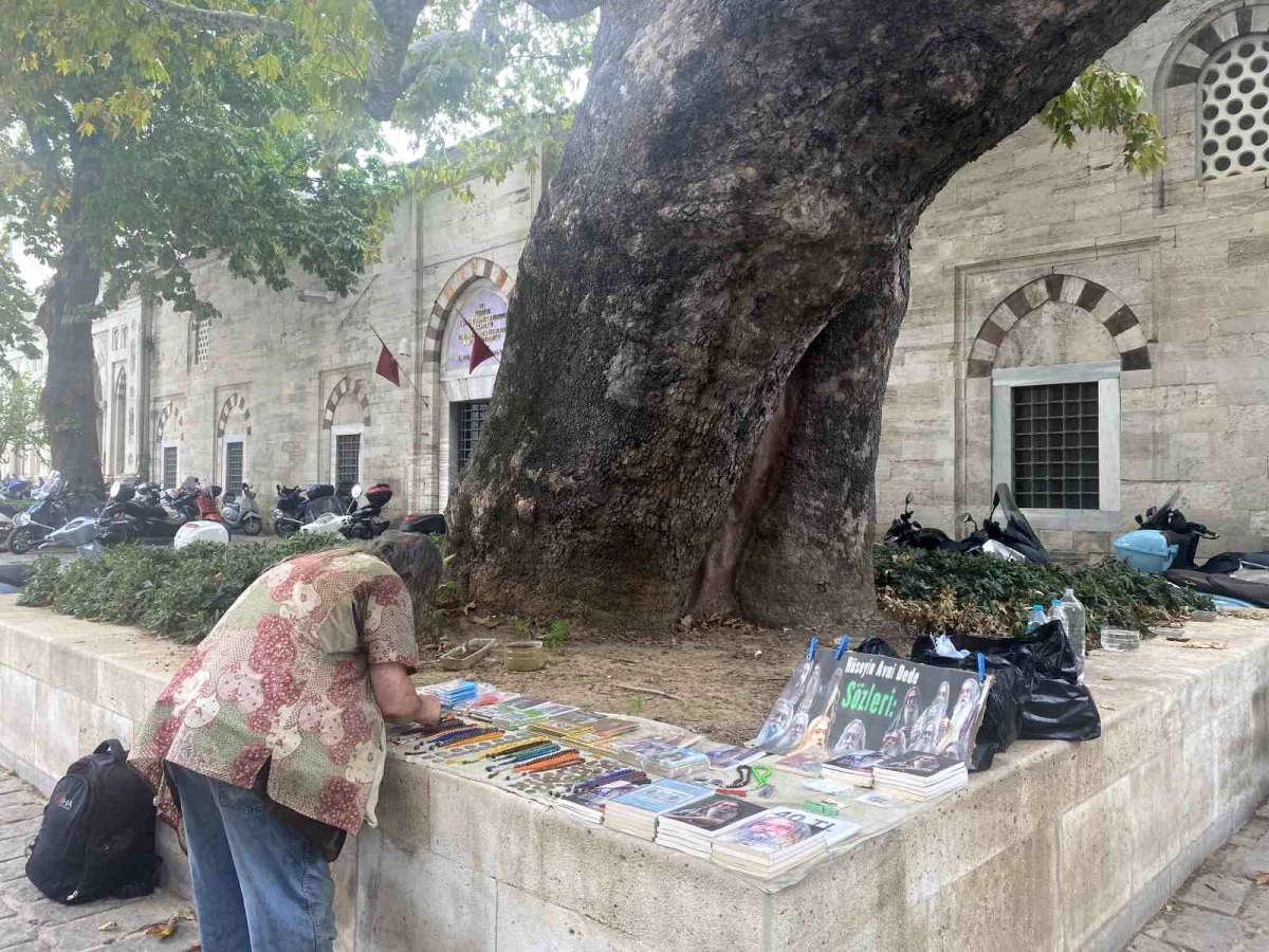 Beyazıt Meydanı\'nın çınarı Hüseyin Avni dede: 58 yıldır adının verildiği ağacın altında
