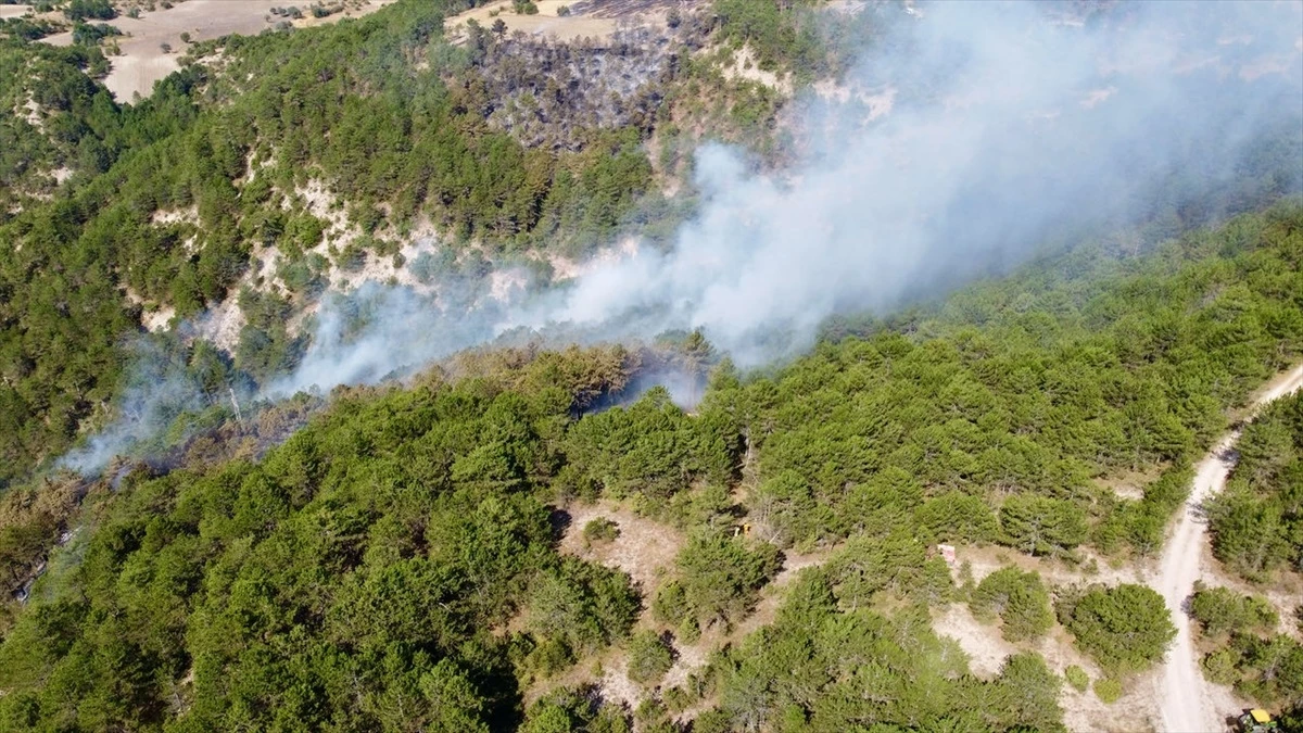 Göynük\'teki Orman Yangını Soğutma Çalışmaları Devam Ediyor